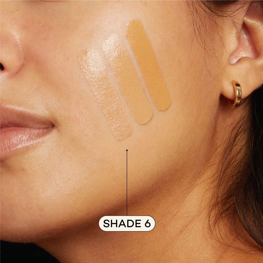 AXIOLOGY - Fungdation - Mushroom Foundation