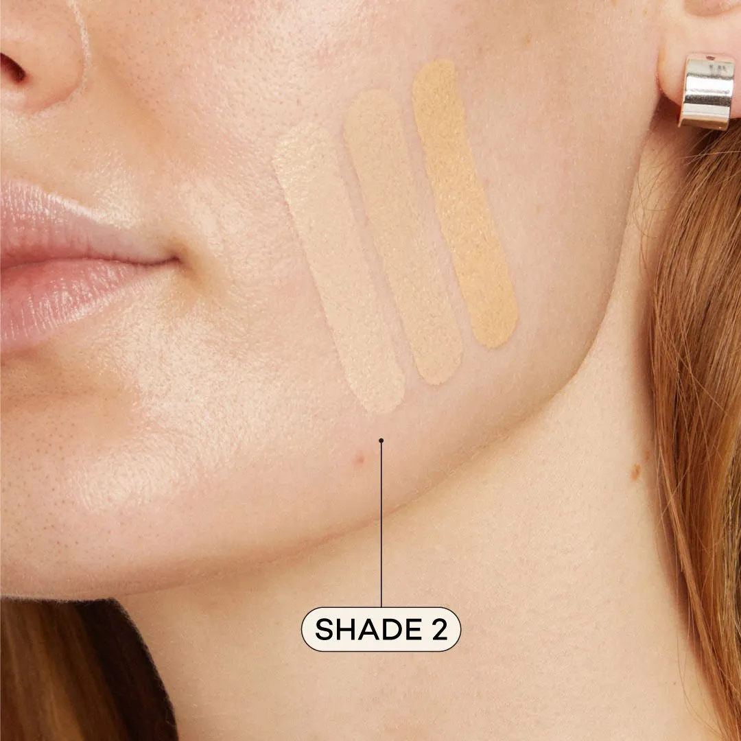 AXIOLOGY - Fungdation - Mushroom Foundation