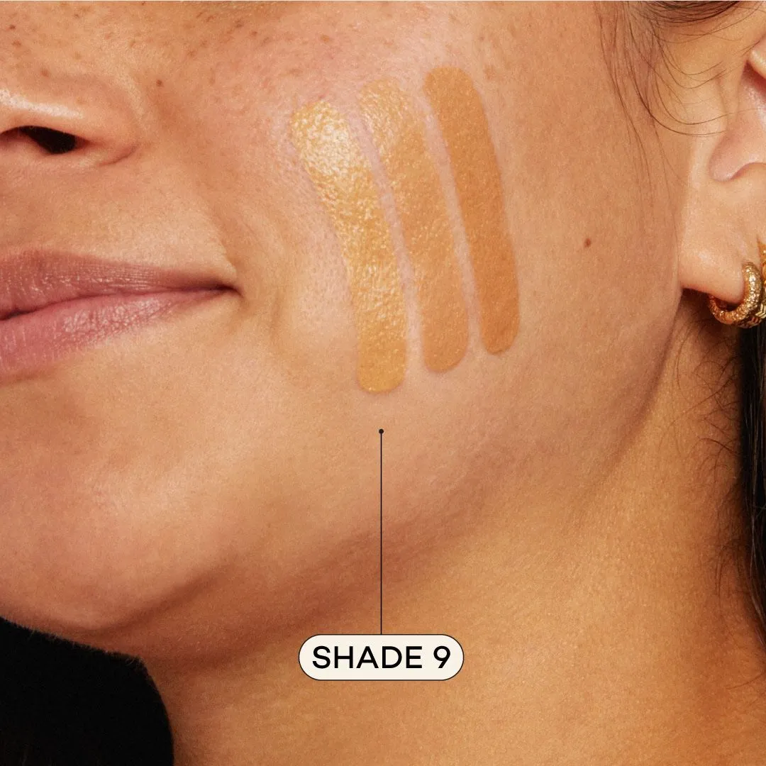AXIOLOGY - Fungdation - Mushroom Foundation