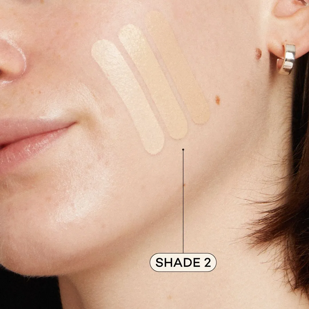 AXIOLOGY - Fungdation - Mushroom Foundation