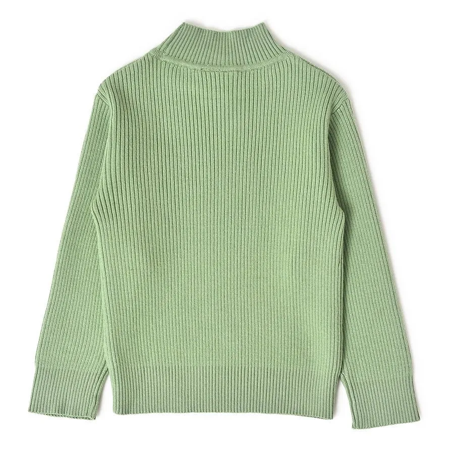 Misty Knitted Thermal Green Top with Turtle Neck