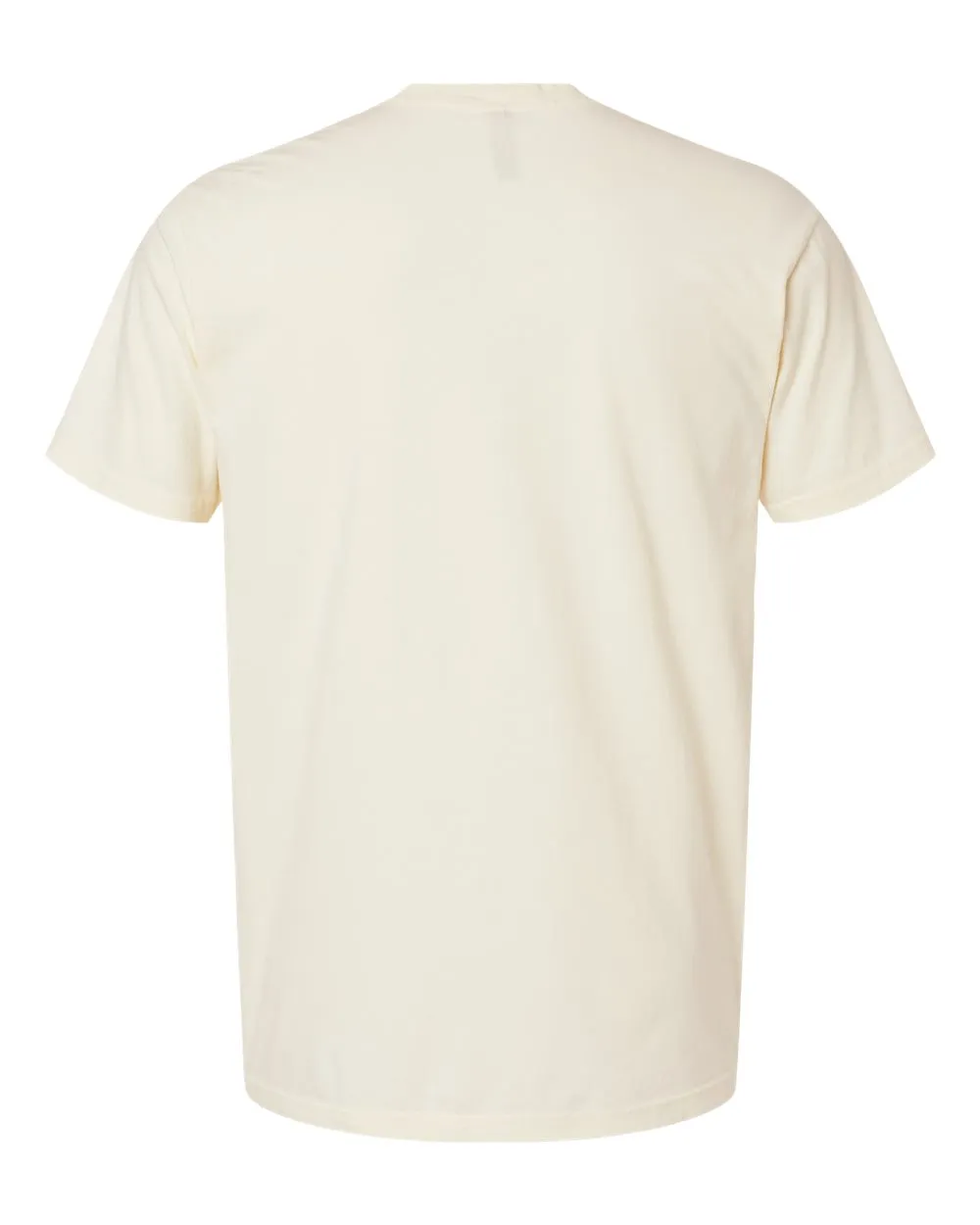 Next Level Soft Wash T-Shirt 3600SW
